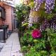 藤紫FujiMurasaki Japanese classic House, Tokio - Fotografie 8