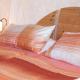 Garden Stay in Steingaden, Steingaden (photo 7)