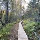 Gooseberry Trailside Suites by Heirloom Boutique Collection, Two Harbors (foto 3)
