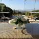 Wild Mountain Cottage and Pool