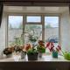 Ravens Heugh, Northumberland - sleeps 6, Thropton (fotografie 6)