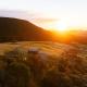 Beresford Heights & Rise
