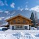 Chalet in Bad Hofgastein near Ski Slopes - Photo 1