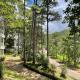 Luxury villas Tuyen lam lake view, Ấp Xuân An (fotografie 7)