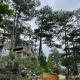 Luxury villas Tuyen lam lake view, Ấp Xuân An (fotografie 8)