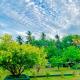 White Shine Hotel, Polonnaruwa (fotografie 10)