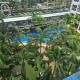 Condo Nam Talay Jomtien Beach - Zdjęcie 2