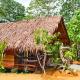 TheJungleGuide - Lodges & Treks, Bukit Lawang (foto 5)