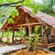 TheJungleGuide - Lodges & Treks, Bukit Lawang (foto 8)