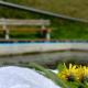 Outdoor & Relax Blackforest, Neukirch (fotografie 7)