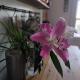 Lovely 2-bedroom flat with terrace in SE5 0TJ, Londýn - Fotografie 8
