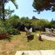 Gugù e Liù Vacation home with garden and Wi-Fi, Palermo - Foto 5