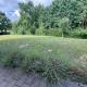 Feld & Flair Apartment, Lage (foto 4)