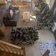 Nightingale Barn - Stunning & Huge, Etchingham