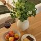 3 minutes on foot from Eonju Station, COEX, 2Room 4Bed, Luggage storage, Seoul - Photo 5