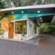 Coco Cabana in the Jungle, Sarapiquí - Photo 1