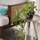 Villa 316 - Cozy Beach Vibe Family Home - 20 min to Colombo, Nugegoda (fotografie 2)