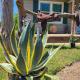 Cowboy Cottage, Country Charm, Markham (fotografie 7)