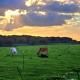Cowboy Cottage, Country Charm, Markham (fotografie 9)