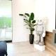 Spacious 5BR Home with Infinity Pool & Large Rooftop, Los Angeles - Foto 8