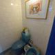 Estancia Hostel, Colonia del Sacramento (photo 7)