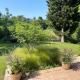 Two Pines Summer House in Tihany, Sajkod, Tihany (Foto 6)