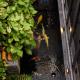 Yên Riverside Villa - Homestay Huế, Hue (zdjęcie 5)