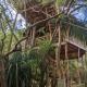 The Alpha monkey tree house, Tangalle - Foto 5