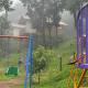 Coorg Jungle Mist, Madikeri - Fotografie 5