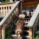 Domek Krzeptowskiego 18, Zakopane - Photo 4
