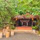 TheJungleGuide - Lodges & Treks, Bukit Lawang (foto 6)