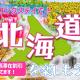 Hongo Street House - Vacation STAY 8609, Sapporo (Foto 2)