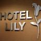 Hotel Lily, Londres - Foto 6