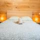 Capbreton Surf House, Capbreton (photo 2)