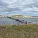 Summer breeze, Lossiemouth (Foto 9)