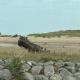 Summer breeze, Lossiemouth (Foto 8)
