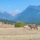 Mission Mountain Getaway, Post Creek (fotografie 10)
