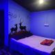 Dolphin beach stay, Gokarna (zdjęcie 8)