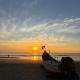 Dolphin beach stay, Gokarna (zdjęcie 5)