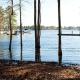 Lazy at Lake, Leesville