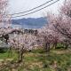 Setouchi Hitotsuru Hitotoki - Vacation STAY 88382v, Onomichi (foto 9)