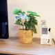Yoyogi New Flats - Vacation STAY 17509, Tokio - Fotografie 9