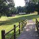 Brenchleyglamping, Tonbridge (photo 4)
