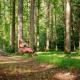 Summer Breeze cabin at Cabin Fever in NC