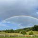 Rose Hill Farm in Amish Community, Jonesville
