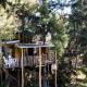 Vindoux Tree House Guest Farm & Spa, Tulbagh - Fotografie 6