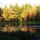 Pet-friendly, secluded, and peaceful pondside home near to Keene and Rindge NH, Fitzwilliam (Foto 2)