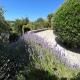 Purbeck - Dorset, Idyllic 4 Bed Thatched Cottage, Corfe Castle (fotografie 5)