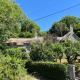 Purbeck - Dorset, Idyllic 4 Bed Thatched Cottage, Corfe Castle