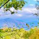 Lovers Retreat with Free Tickets to Dollywood,Anakeesta,Incredible Views!in Gatlinburg - Foto 1